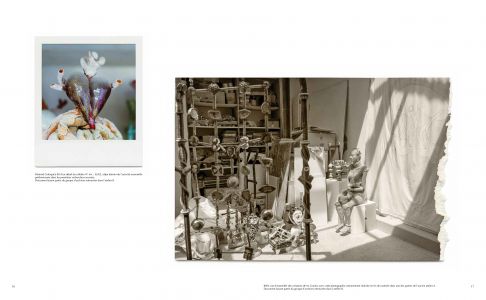 Les fossiles du futur