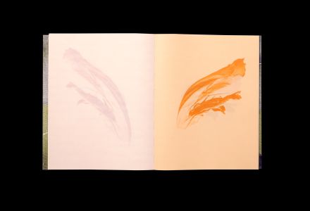 Vieron su casa hacerse campo