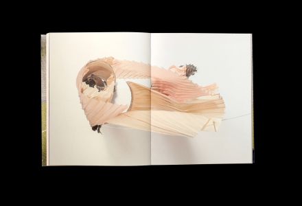 Vieron su casa hacerse campo