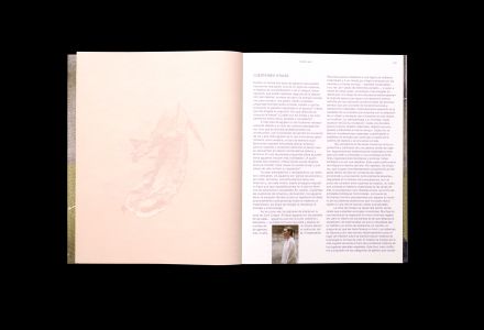 Vieron su casa hacerse campo