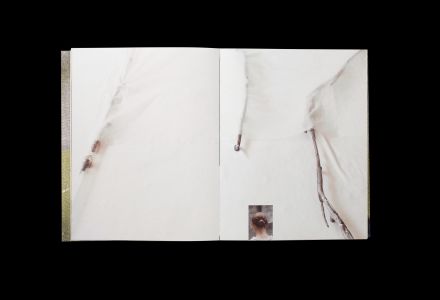 Vieron su casa hacerse campo