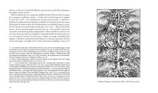 Les coraux de Darwin