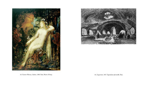 Les coraux de Darwin