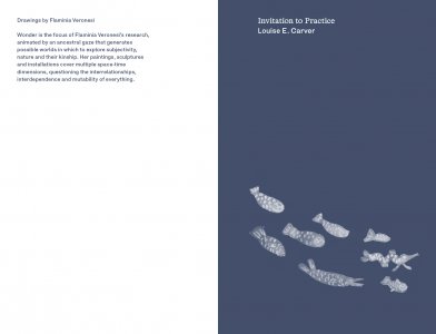 The Aquarium is a Listening Glass