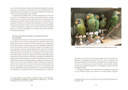 Les réserves des musées