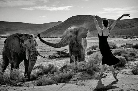 Expression of Freedom