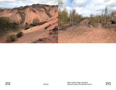 Museums at the Ecological Turn