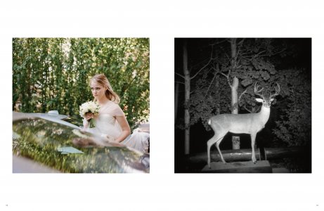 The Perfect Imperfect