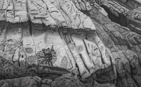 L'alchimie du cerveau à la mine de plomb