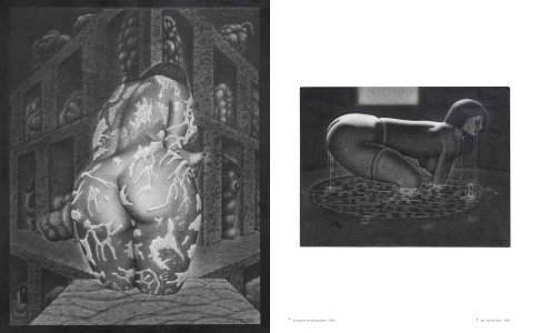 L'alchimie du cerveau à la mine de plomb