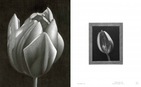 L'alchimie du cerveau à la mine de plomb