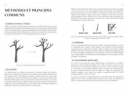 Guide de jardinage écologique