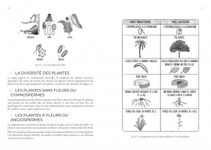 Guide de jardinage écologique