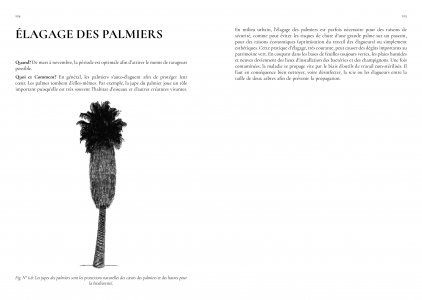 Guide de jardinage écologique