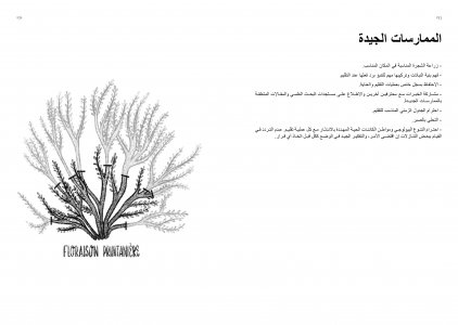 Guide de jardinage écologique