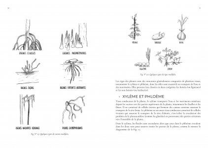 Guide de jardinage écologique