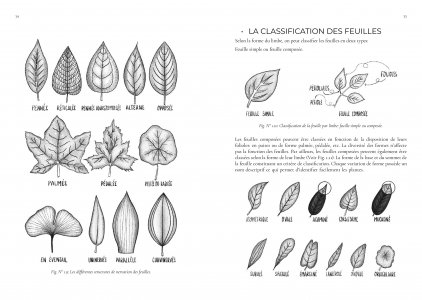 Guide de jardinage écologique