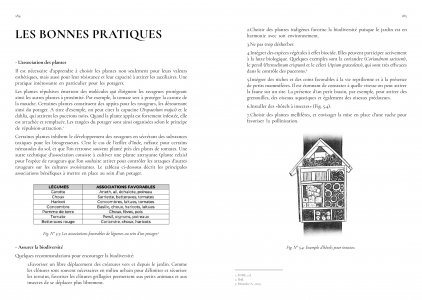 Guide de jardinage écologique