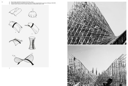 L'intelligence de la forme