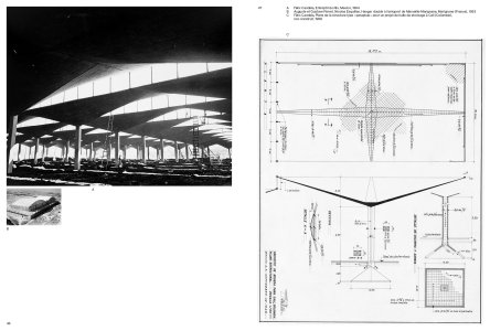 L'intelligence de la forme