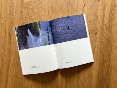 An imitation of life