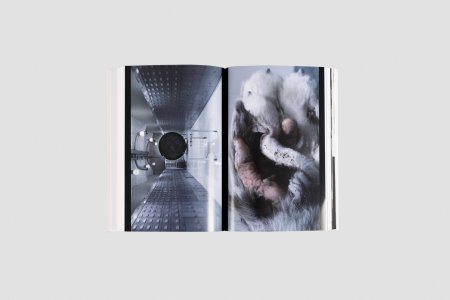 Ghostwriting Paul Thek