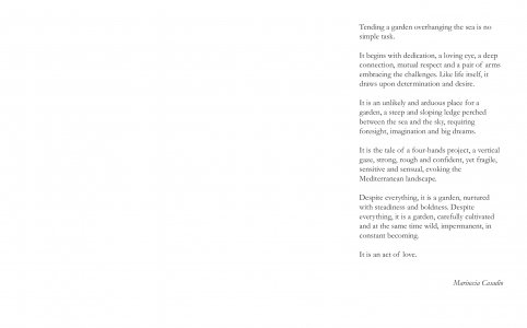 A Star in the Garden