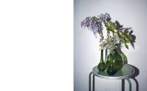 A Star in the Garden