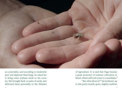 Export Quality Poetry (1924–2024)