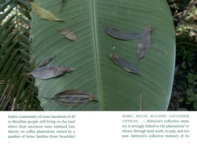 Export Quality Poetry (1924–2024)