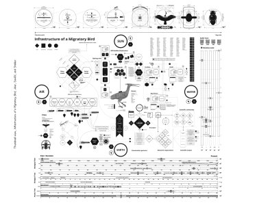 The Contemporary Condition