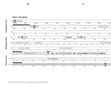 The Contemporary Condition