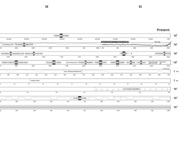 The Contemporary Condition