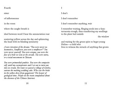 Does the sun have a translucent shell?