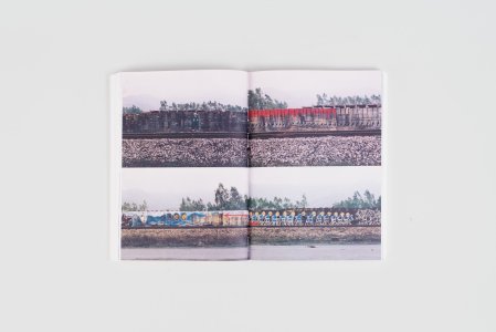 Soaked in the Long Rain