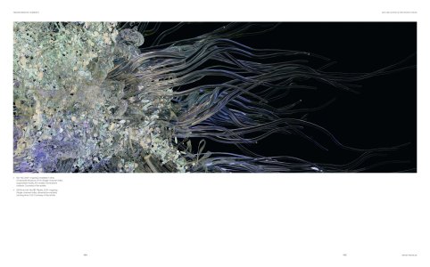 Transformative Currents