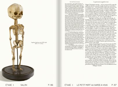 Énormément bizarre