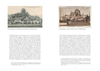 L'animal captif et la nature sauvage