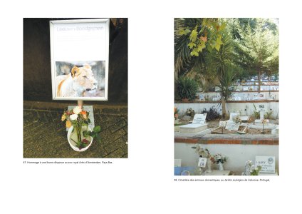 L'animal captif et la nature sauvage