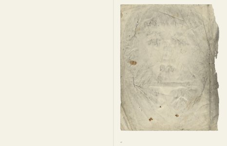 Elles Viennent Sous Ma Main