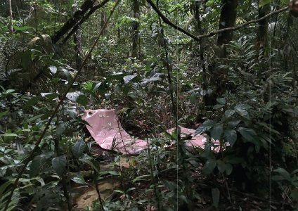 Not Even the Dead will Survive