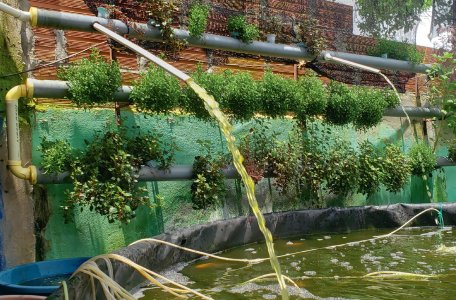 We Place Life at the Center / Situamos la vida en el centro