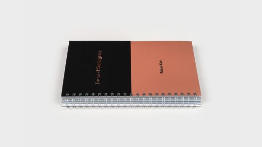 Forms of Contingency and Pattern of Imminence