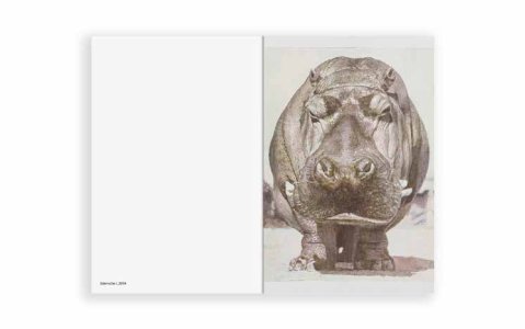 Clouds and Shadows on Mars / Over Time