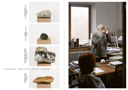 Mouans-Sartoux, Paris, Eschenau, Digne-les-Bains, Trédrez-Locquémeau