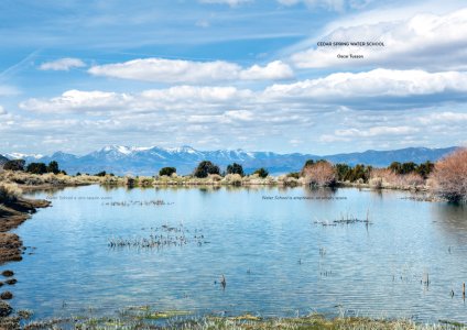 Something In the Water