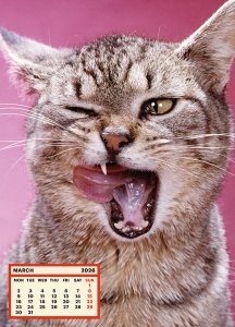 ToiletWalter PaperChandoha