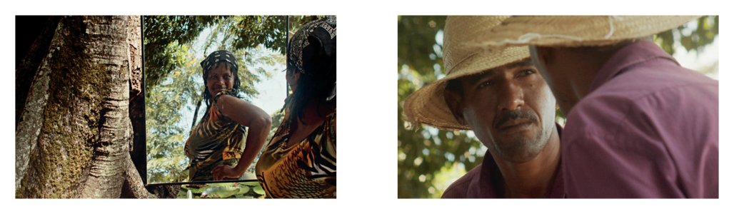 Gueule de bois tropicale et autres histoires