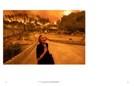 The Family of Migrants