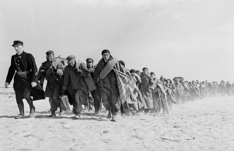 The Family of Migrants